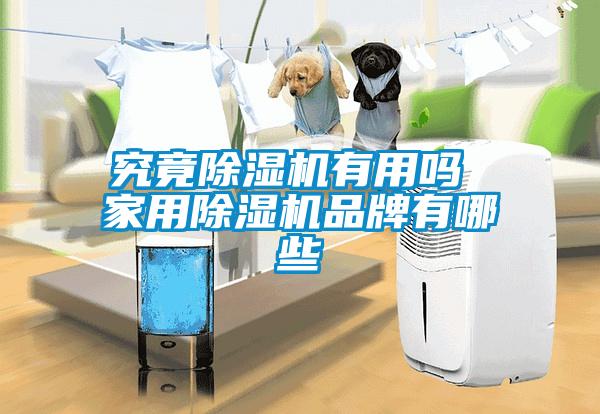 究竟除濕機(jī)有用嗎 家用除濕機(jī)品牌有哪些