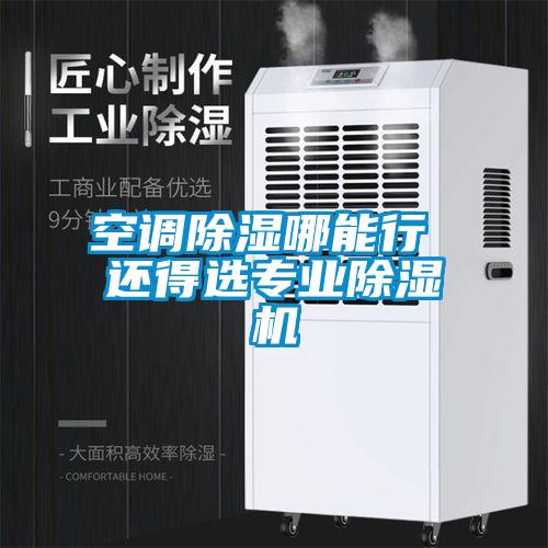 空調除濕哪能行 還得選專業(yè)除濕機