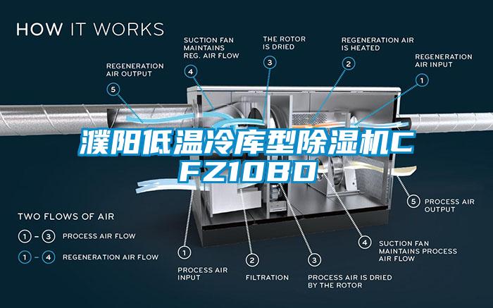 濮陽低溫冷庫型除濕機(jī)CFZ10BD