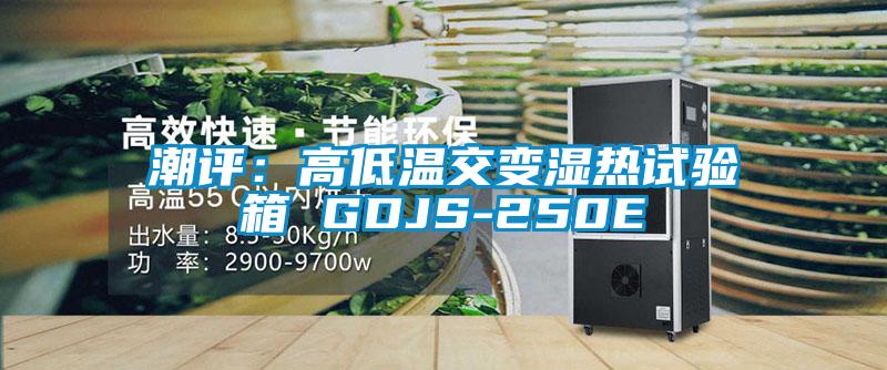 潮評：高低溫交變濕熱試驗箱 GDJS-250E