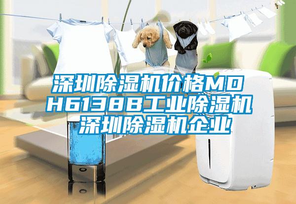 深圳除濕機(jī)價(jià)格MDH6138B工業(yè)除濕機(jī) 深圳除濕機(jī)企業(yè)