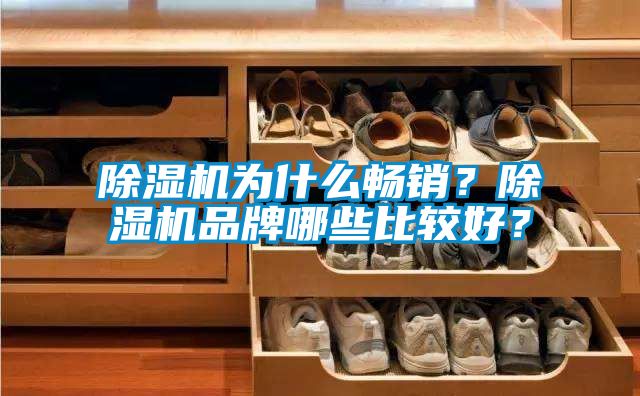 除濕機為什么暢銷？除濕機品牌哪些比較好？