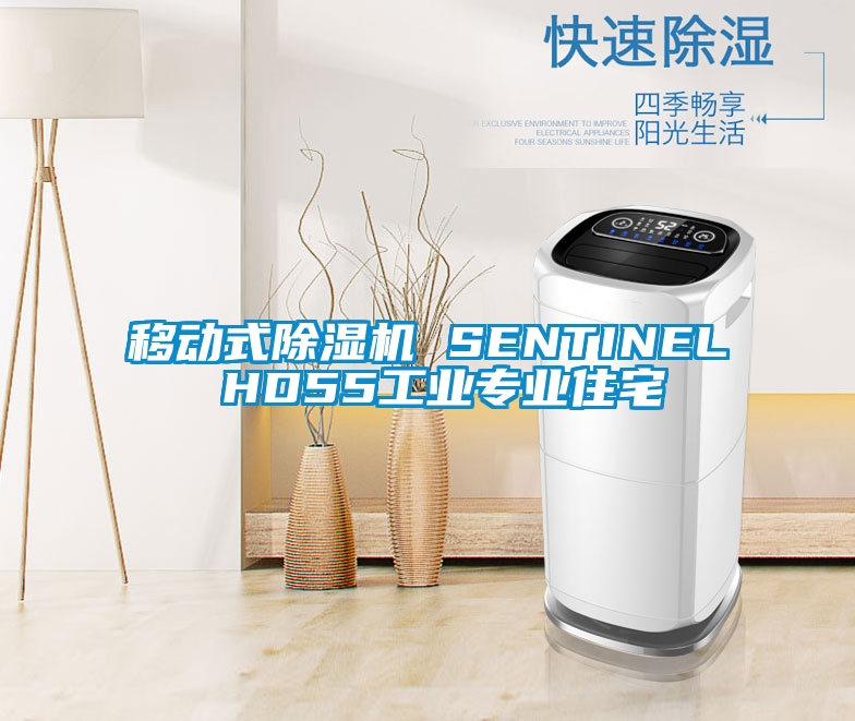 移動(dòng)式除濕機(jī) SENTINEL HD55工業(yè)專業(yè)住宅