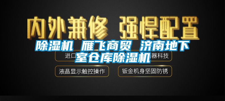 除濕機 雁飛商貿(mào) 濟南地下室倉庫除濕機