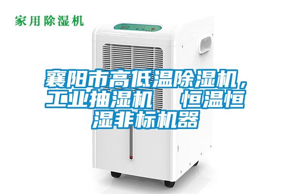 襄陽市高低溫除濕機，工業(yè)抽濕機  恒溫恒濕非標(biāo)機器