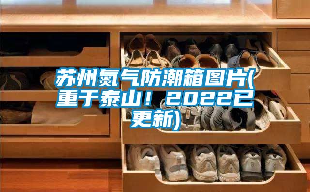 蘇州氮?dú)夥莱毕鋱D片(重于泰山！2022已更新)