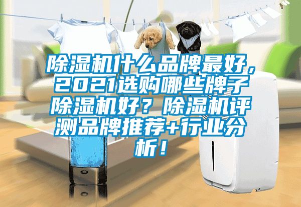 除濕機(jī)什么品牌最好，2021選購哪些牌子除濕機(jī)好？除濕機(jī)評(píng)測(cè)品牌推薦+行業(yè)分析！