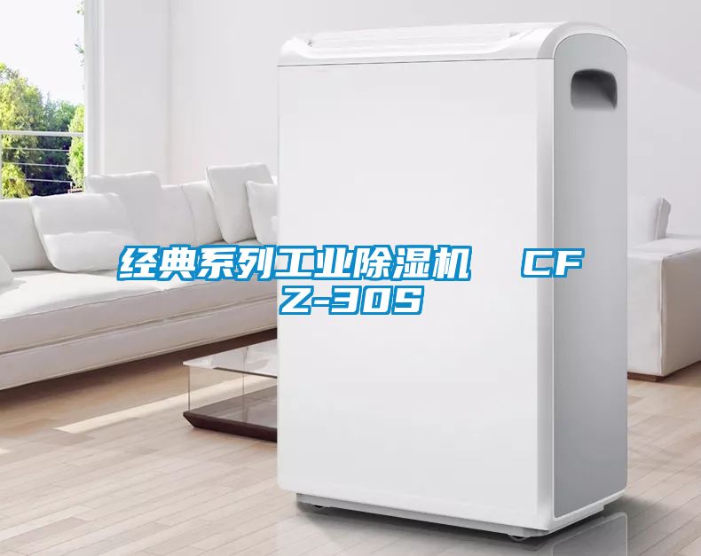 經(jīng)典系列工業(yè)除濕機(jī)  CFZ-30S