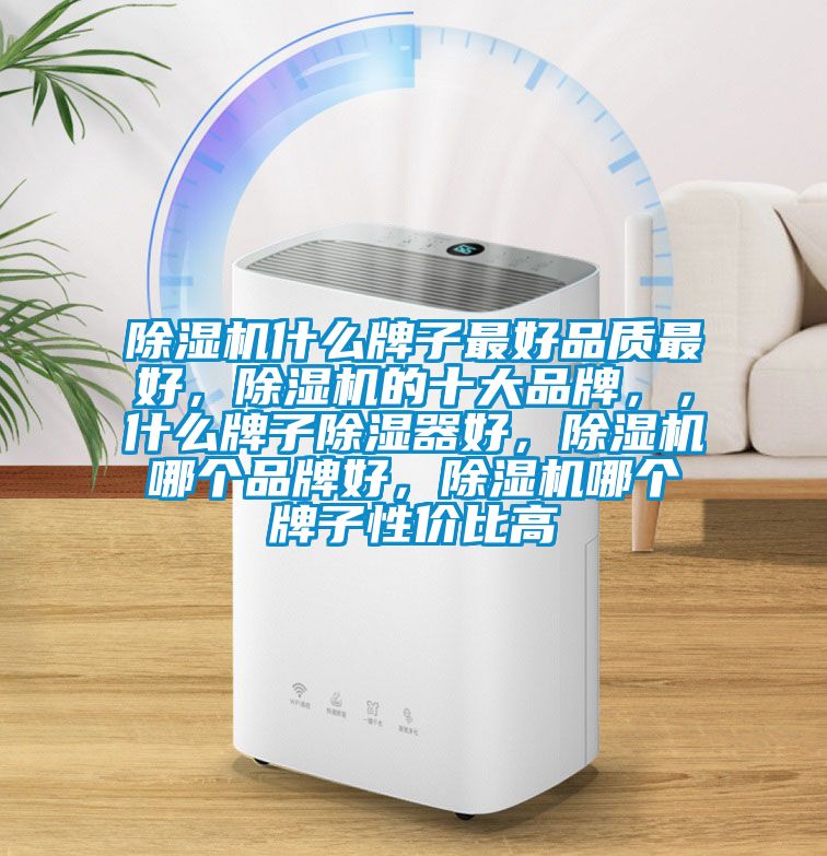 除濕機什么牌子最好品質最好，除濕機的十大品牌，，什么牌子除濕器好，除濕機哪個品牌好，除濕機哪個牌子性價比高