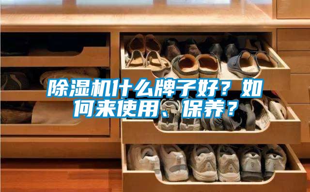 除濕機(jī)什么牌子好？如何來使用、保養(yǎng)？