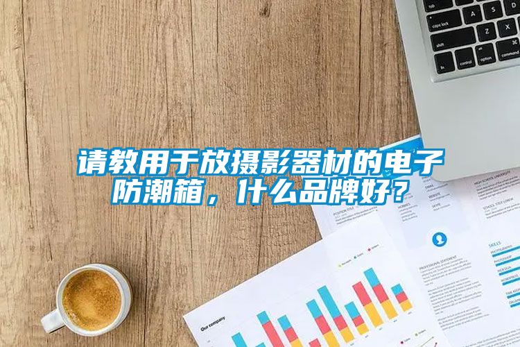 請教用于放攝影器材的電子防潮箱，什么品牌好？