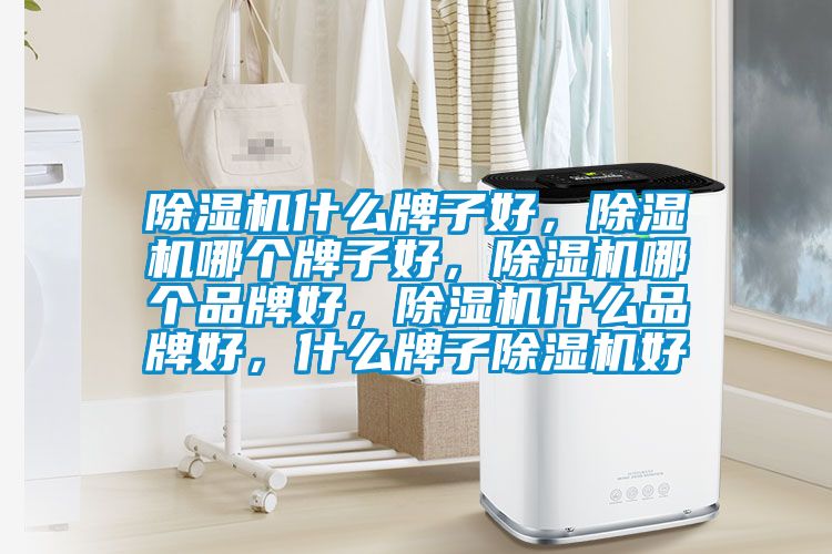 除濕機什么牌子好，除濕機哪個牌子好，除濕機哪個品牌好，除濕機什么品牌好，什么牌子除濕機好