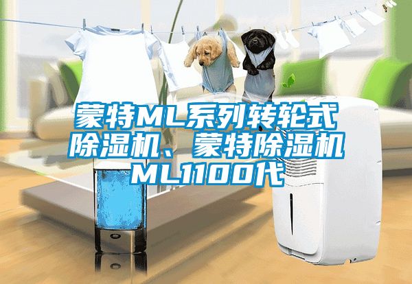 蒙特ML系列轉輪式除濕機、蒙特除濕機ML1100代