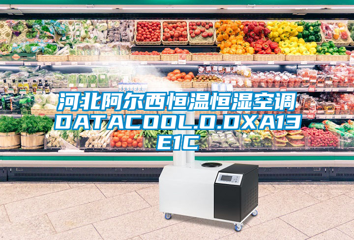 河北阿爾西恒溫恒濕空調DATACOOL.O.DXA13E1C