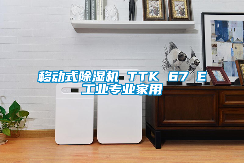 移動式除濕機 TTK 67 E工業(yè)專業(yè)家用