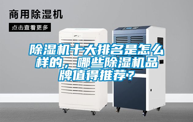 除濕機十大排名是怎么樣的，哪些除濕機品牌值得推薦？