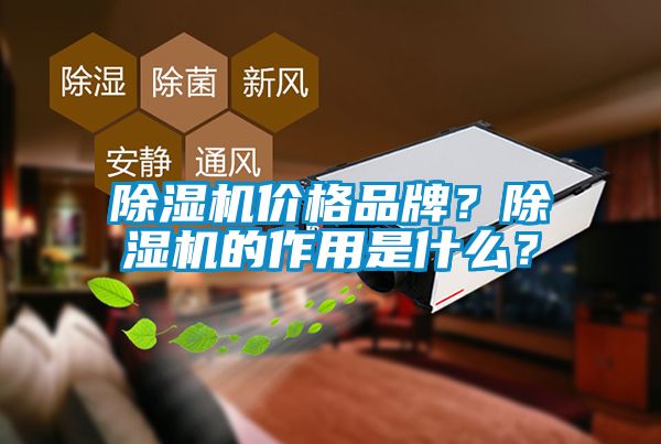 除濕機價格品牌？除濕機的作用是什么？