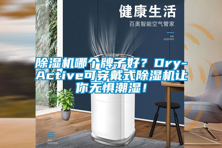 除濕機(jī)哪個(gè)牌子好？Dry-Active可穿戴式除濕機(jī)讓你無懼潮濕！