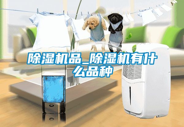 除濕機(jī)品_除濕機(jī)有什么品種