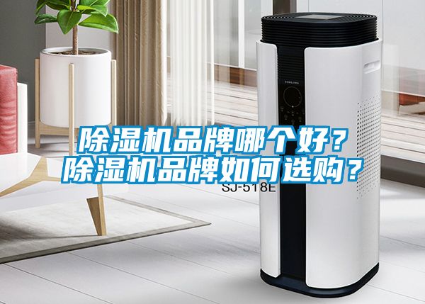 除濕機品牌哪個好？除濕機品牌如何選購？