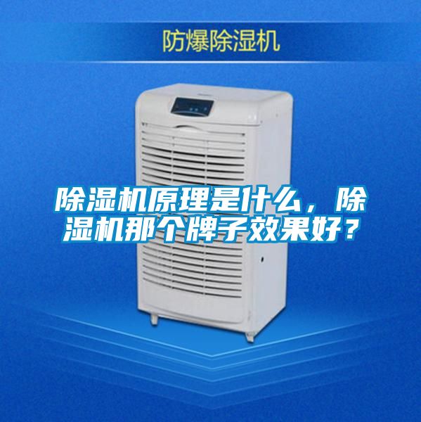 除濕機原理是什么，除濕機那個牌子效果好？