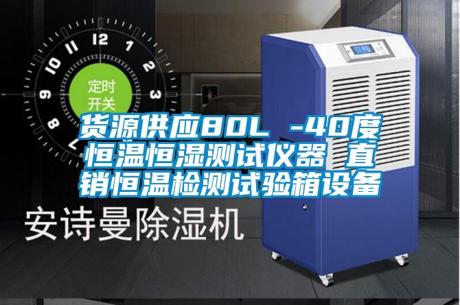 貨源供應(yīng)80L -40度恒溫恒濕測(cè)試儀器 直銷(xiāo)恒溫檢測(cè)試驗(yàn)箱設(shè)備