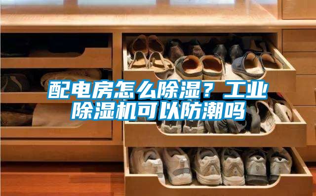 配電房怎么除濕？工業(yè)除濕機(jī)可以防潮嗎