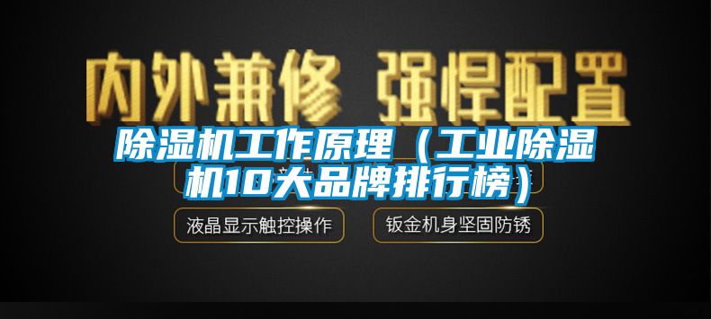 除濕機工作原理（工業(yè)除濕機10大品牌排行榜）