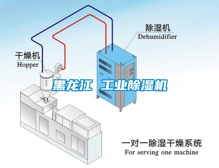 黑龍江 工業(yè)除濕機(jī)