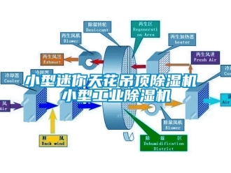 常見問題小型迷你天花吊頂除濕機 小型工業(yè)除濕機