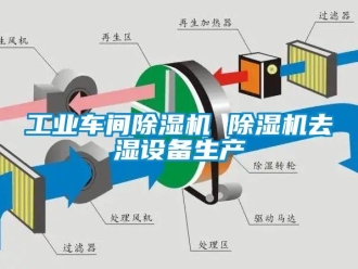 常見(jiàn)問(wèn)題工業(yè)車(chē)間除濕機(jī) 除濕機(jī)去濕設(shè)備生產(chǎn)