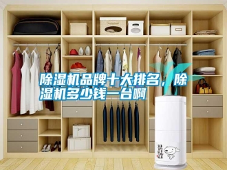 行業(yè)新聞除濕機(jī)品牌十大排名，除濕機(jī)多少錢一臺(tái)啊