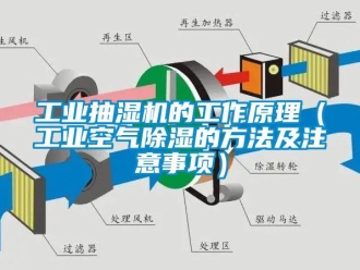 常見問題工業(yè)抽濕機的工作原理（工業(yè)空氣除濕的方法及注意事項）