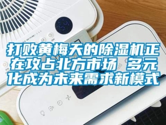 行業(yè)新聞打敗黃梅天的除濕機正在攻占北方市場 多元化成為未來需求新模式