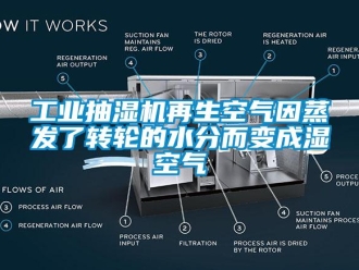 企業(yè)新聞工業(yè)抽濕機(jī)再生空氣因蒸發(fā)了轉(zhuǎn)輪的水分而變成濕空氣