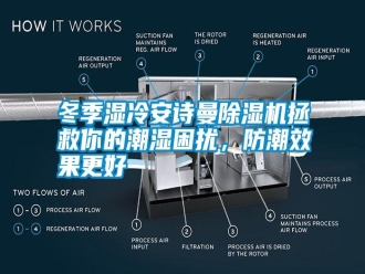 行業(yè)新聞冬季濕冷安詩曼除濕機(jī)拯救你的潮濕困擾，防潮效果更好