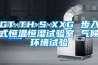 GT-TH-S-XXG 步入式恒溫恒濕試驗室 氣候環(huán)境試驗