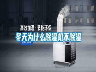 行業(yè)新聞冬天為什么除濕機(jī)不除濕